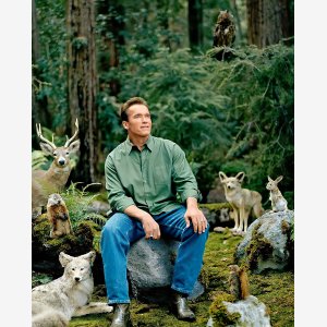 One With Nature Template   Arnold Schwarzenegger   Forêt Animaux Forest